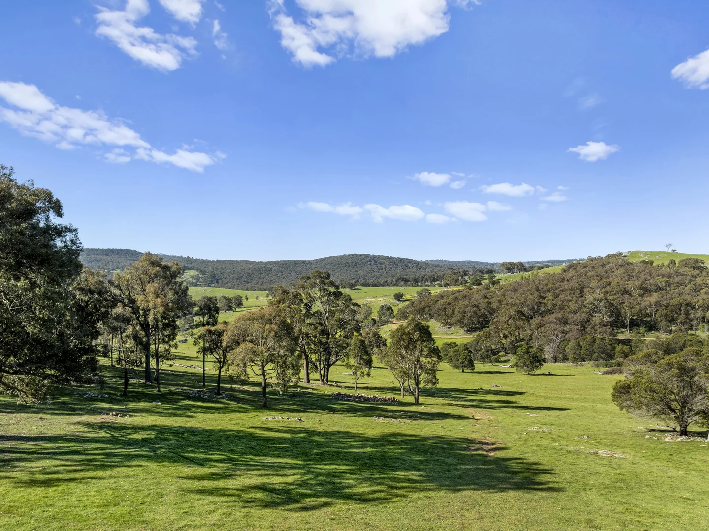 Additional image 6 of 665 Fernhills Road, Marraweeney VIC 3669