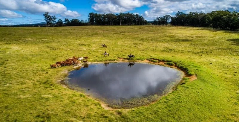 Additional image 22 of 224 Wallaroo Range Road, Willsons Downfall NSW 2372