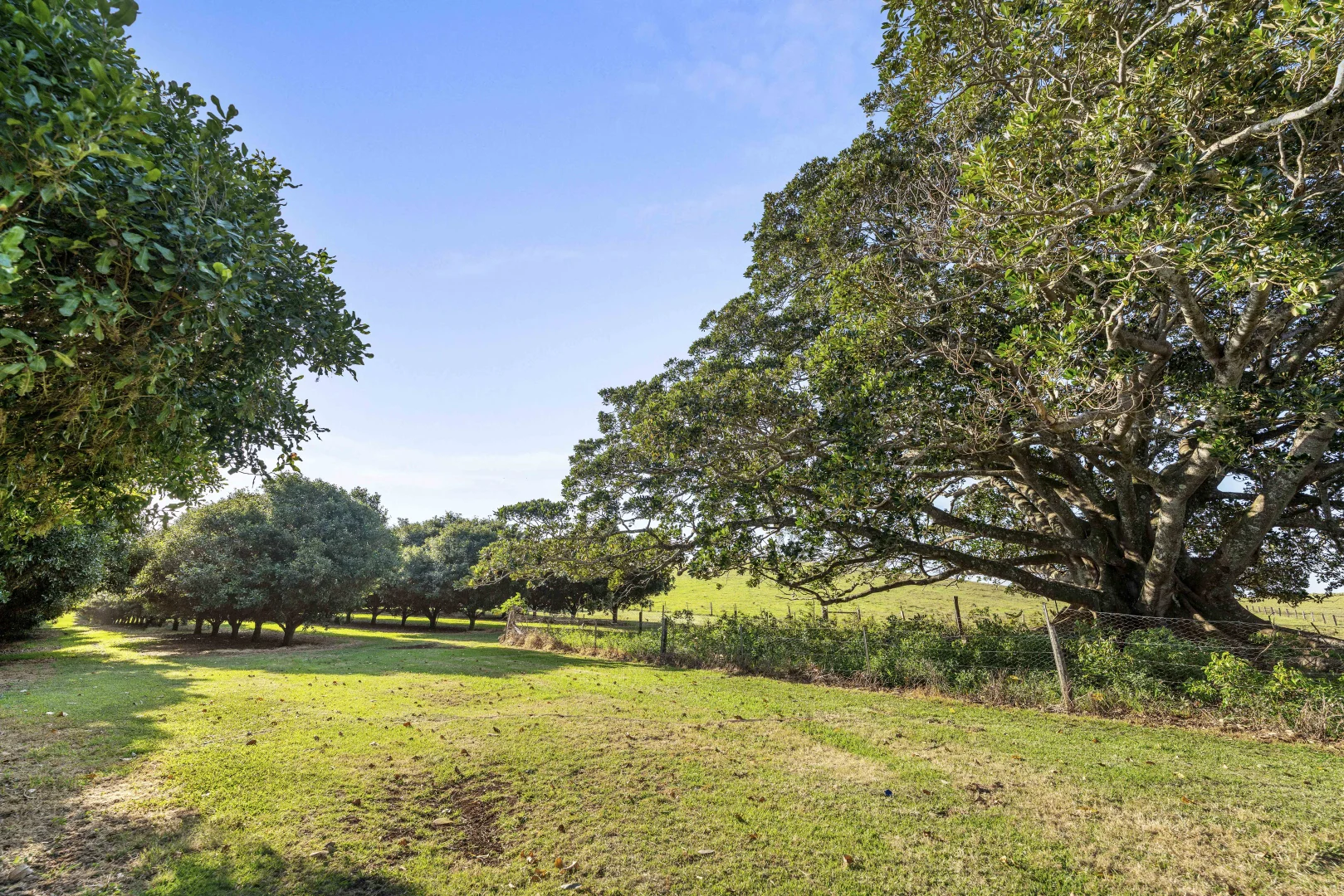 Additional image 23 of 241 Alcorn Road, Knockrow NSW 2479