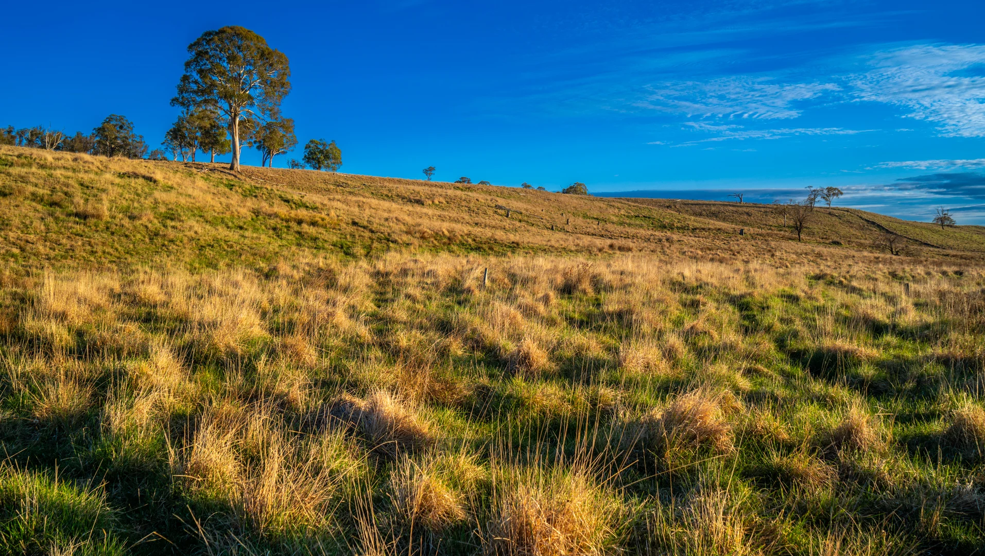 Additional image 24 of 250 Sissons Road Aberfoyle, Armidale NSW 2350