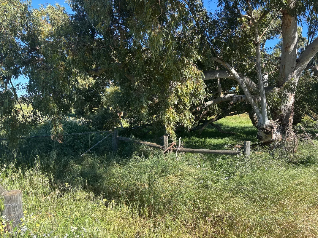 Additional image 2 of Lot 1914 Minnenooka Road, Minnenooka WA 6532