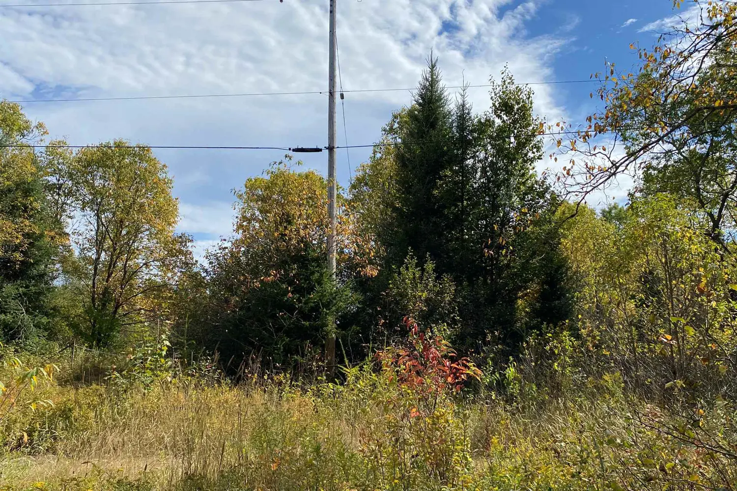 Additional image 13 of 0 Municipal Road
