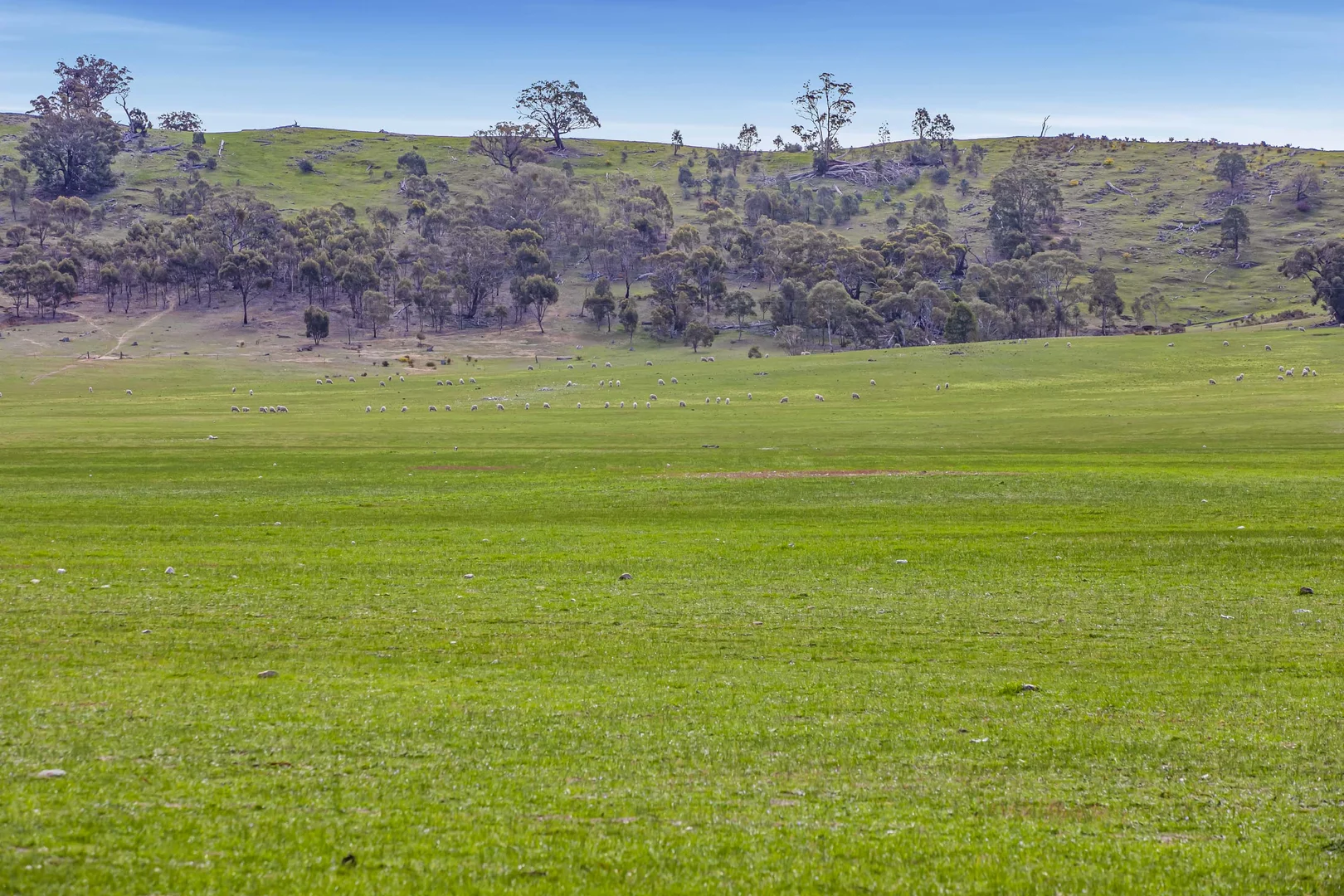 Additional image 18 of 441 Frenchmans - St Arnaud Road, Barkly VIC 3384