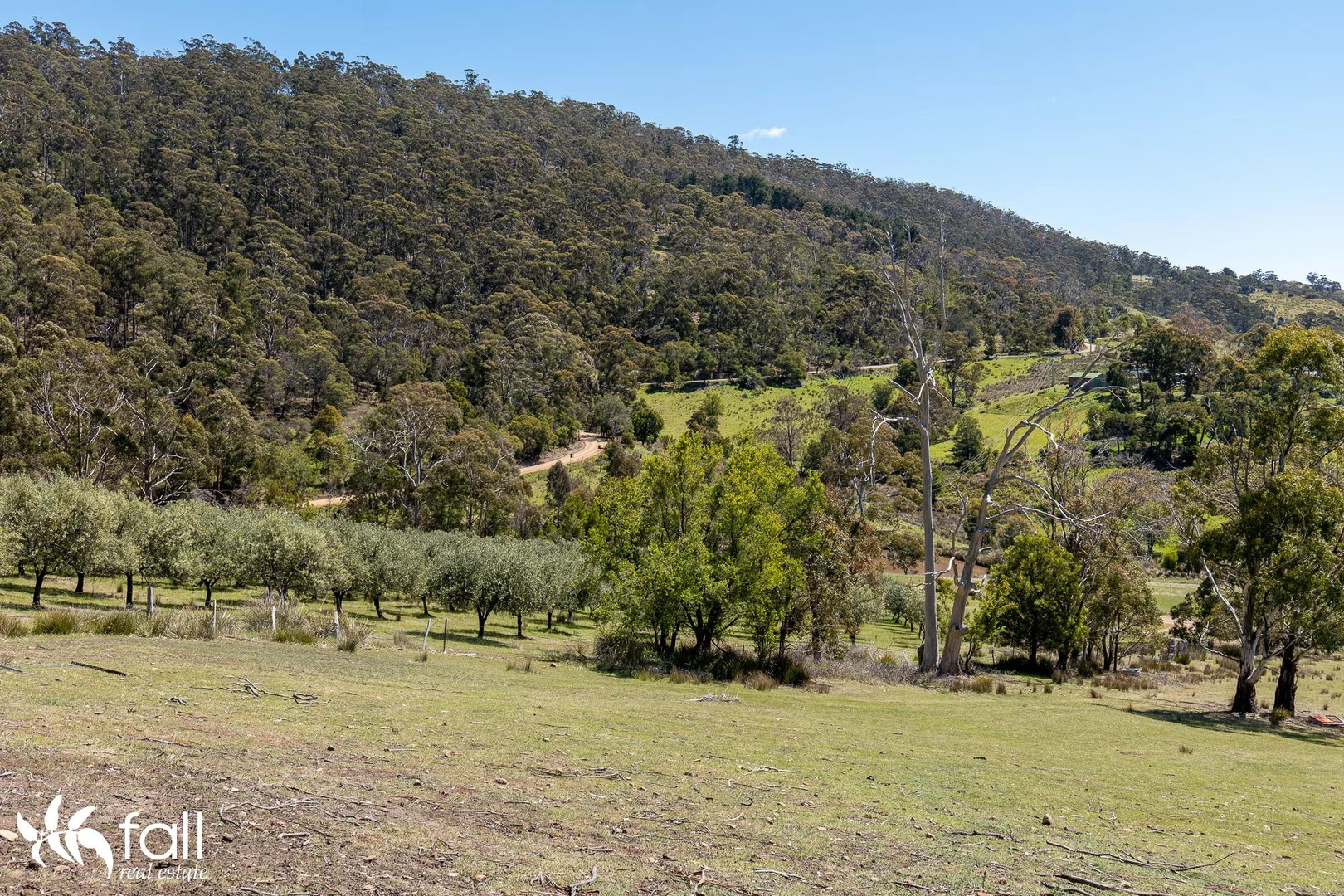 Additional image 18 of 402 Bruny Island Main Road, North Bruny TAS 7150