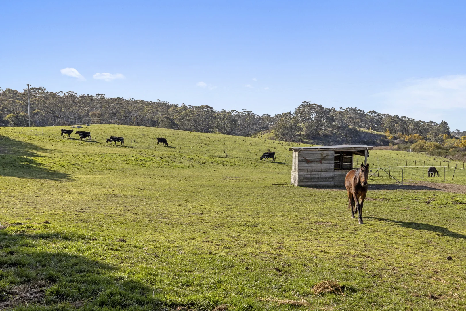 Additional image 29 of 3465 Captains Flat Road, Captains Flat NSW 2623