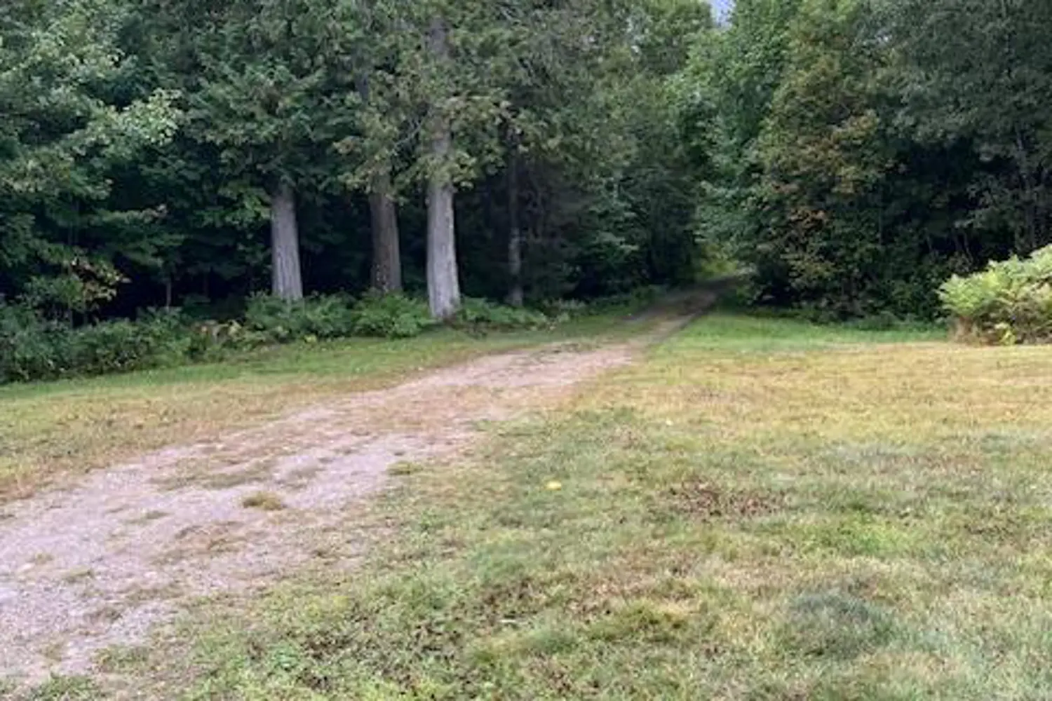 Additional image 12 of 121 Proudfoot Road