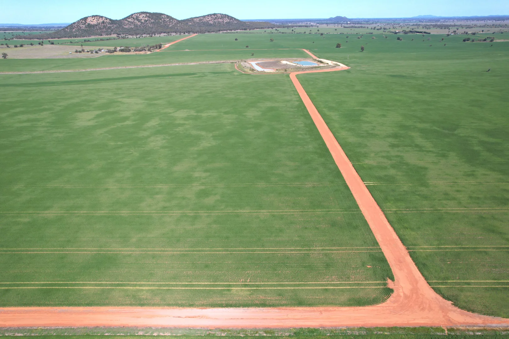 Additional image 8 of 2190 Yarrabandai Road, Trundle NSW 2875