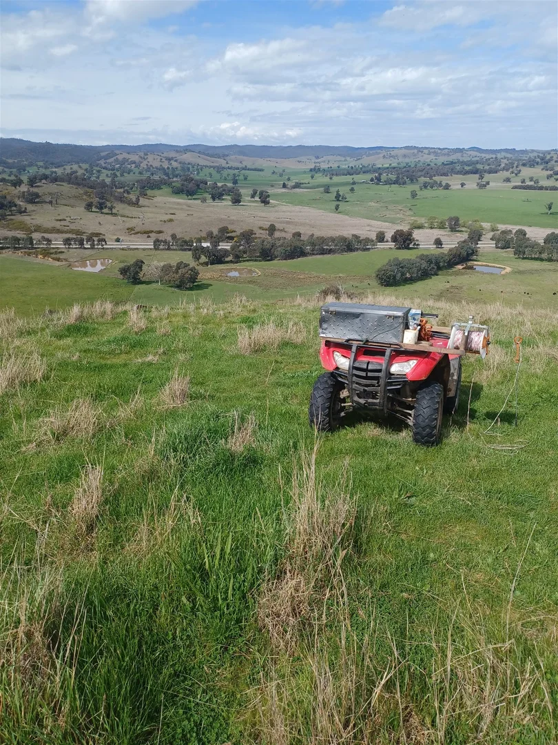 Additional image 21 of 3924 Hume Highway, Tarcutta NSW 2652