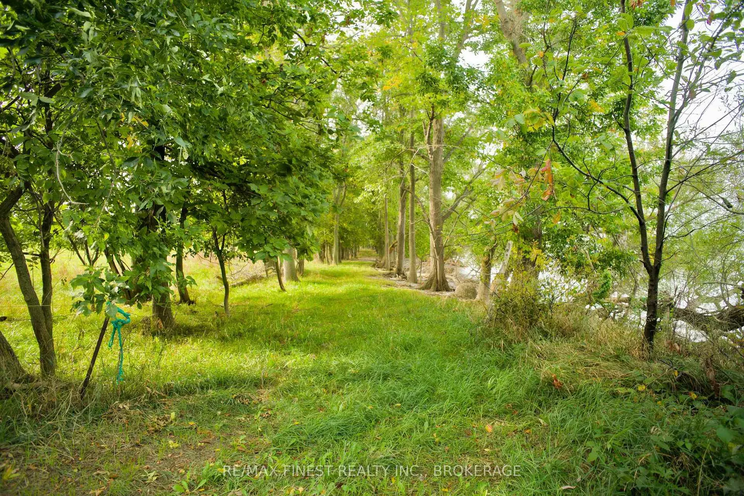 Additional image 4 of 15355 Front Road