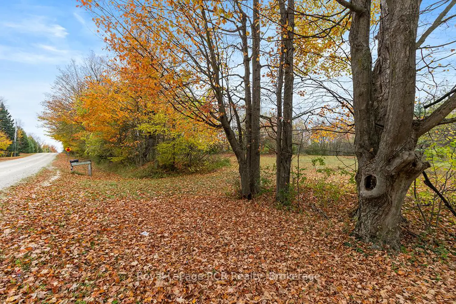 Additional image 5 of 447233 10Th Concession