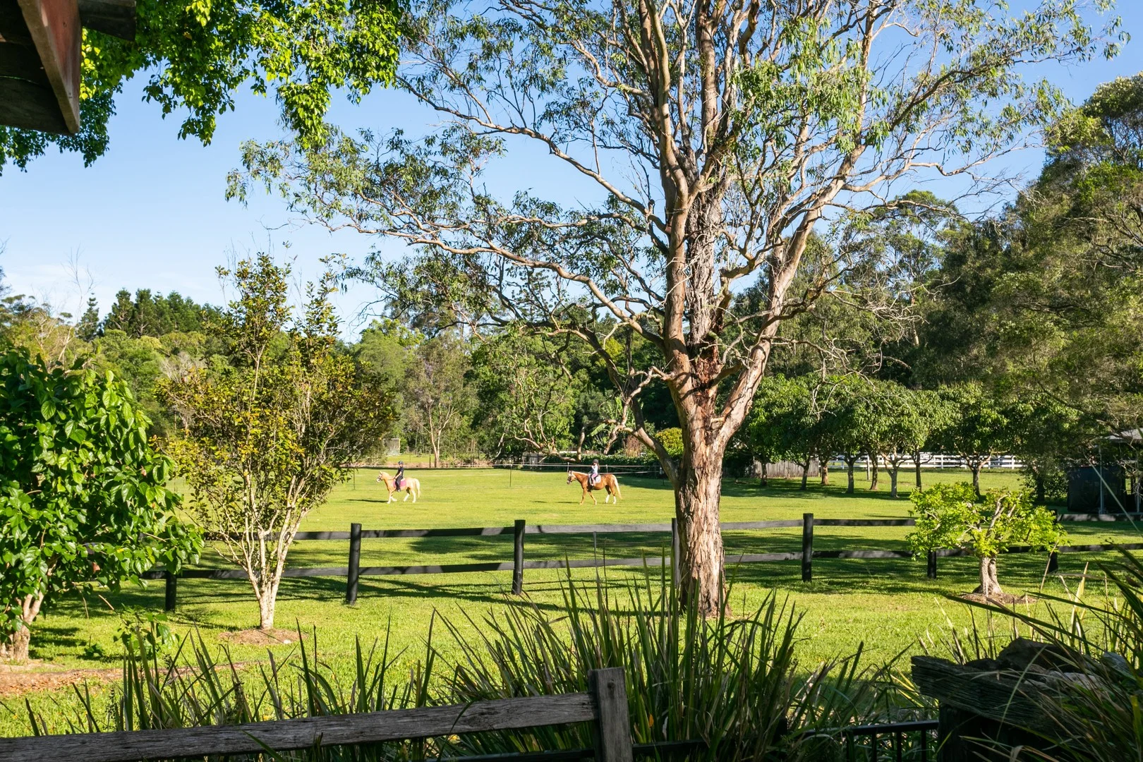 Additional image 5 of 35 Lawnville Road, Cooroy QLD 4563