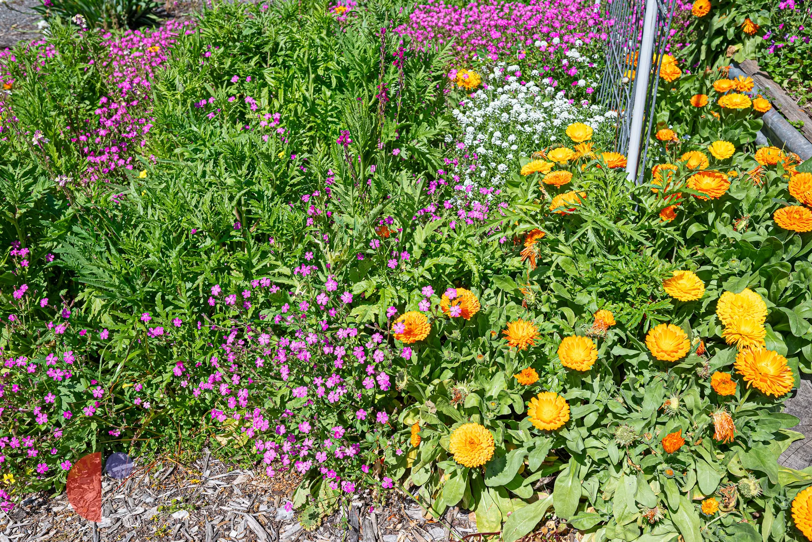 Additional image 11 of Lot 101/5A Winns Road, Blackwood SA 5051