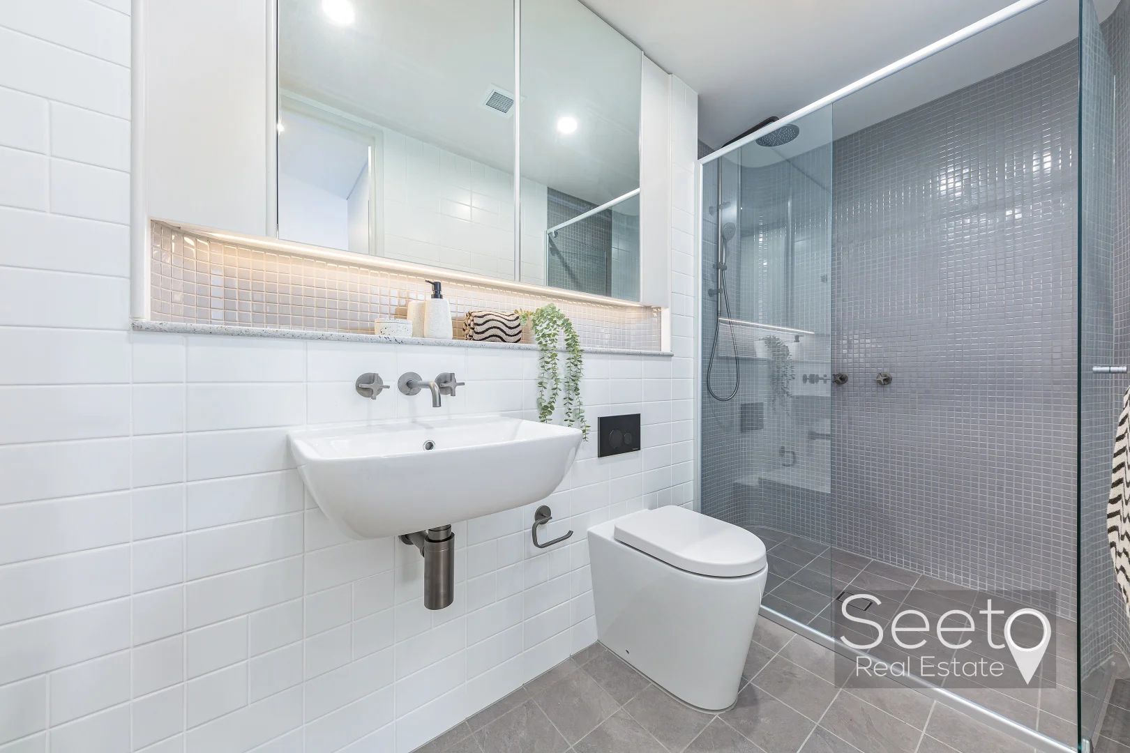 Additional image 20 of 14 Telopea Avenue, Homebush West NSW 2140