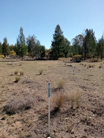 Additional image 4 of Tara QLD 4421