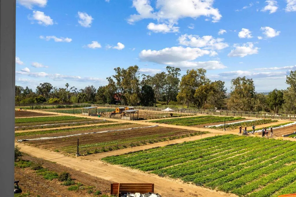 Additional image 61 of 1044 Palmaria Court, Encinitas, CA 92024