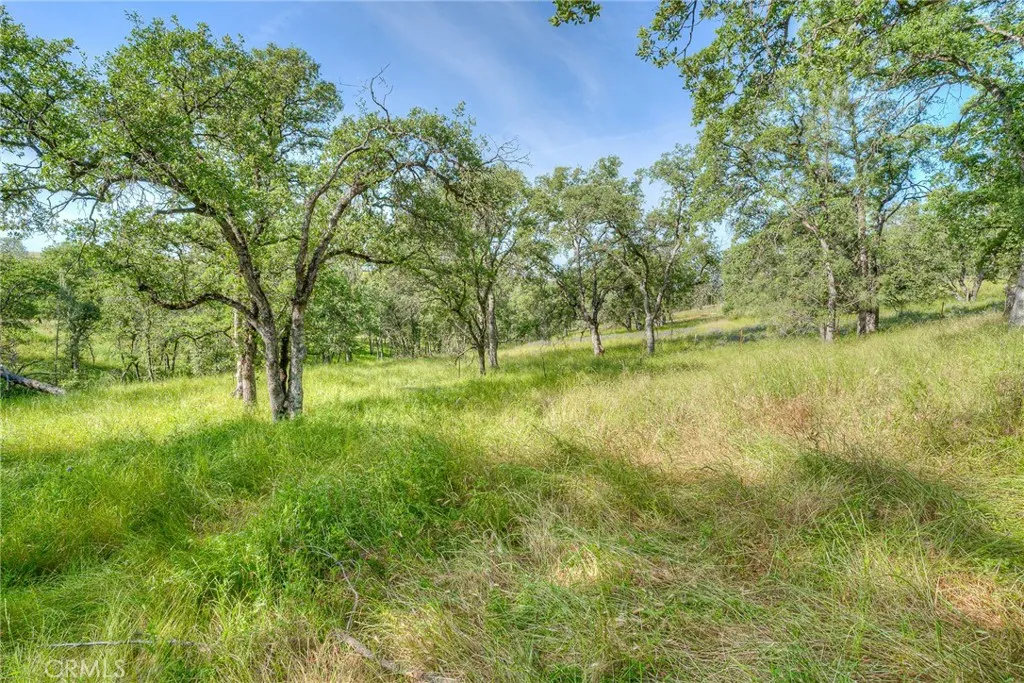 Additional image 38 of 12 Linda Loma Drive, Oroville, CA 95966