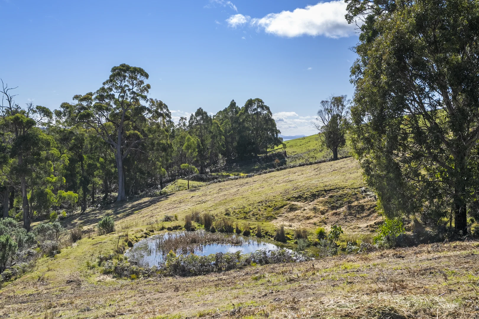 Additional image 4 of 129 Littles Road, Premaydena TAS 7185