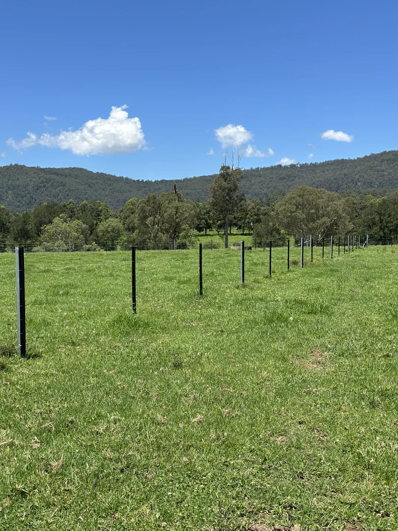 Additional image 19 of 119 Duck Creek Road, Old Bonalbo NSW 2469