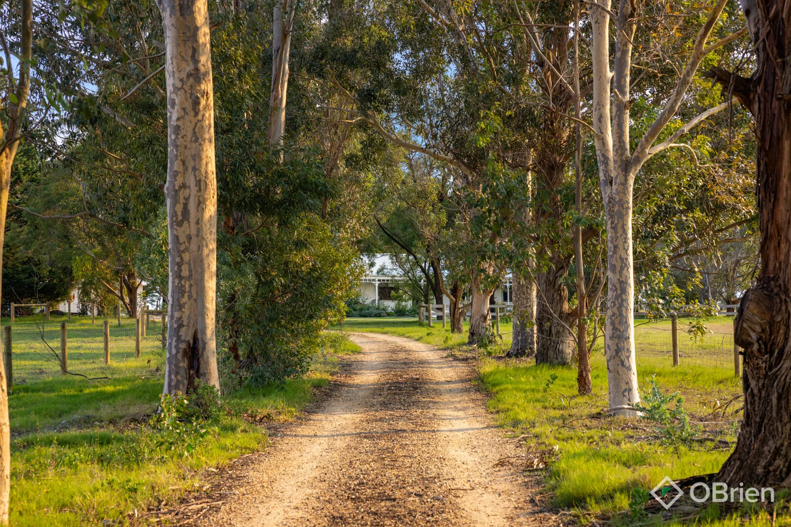 Additional image 18 of 115 Fernbank-Lindenow South Road, Lindenow South VIC 3875