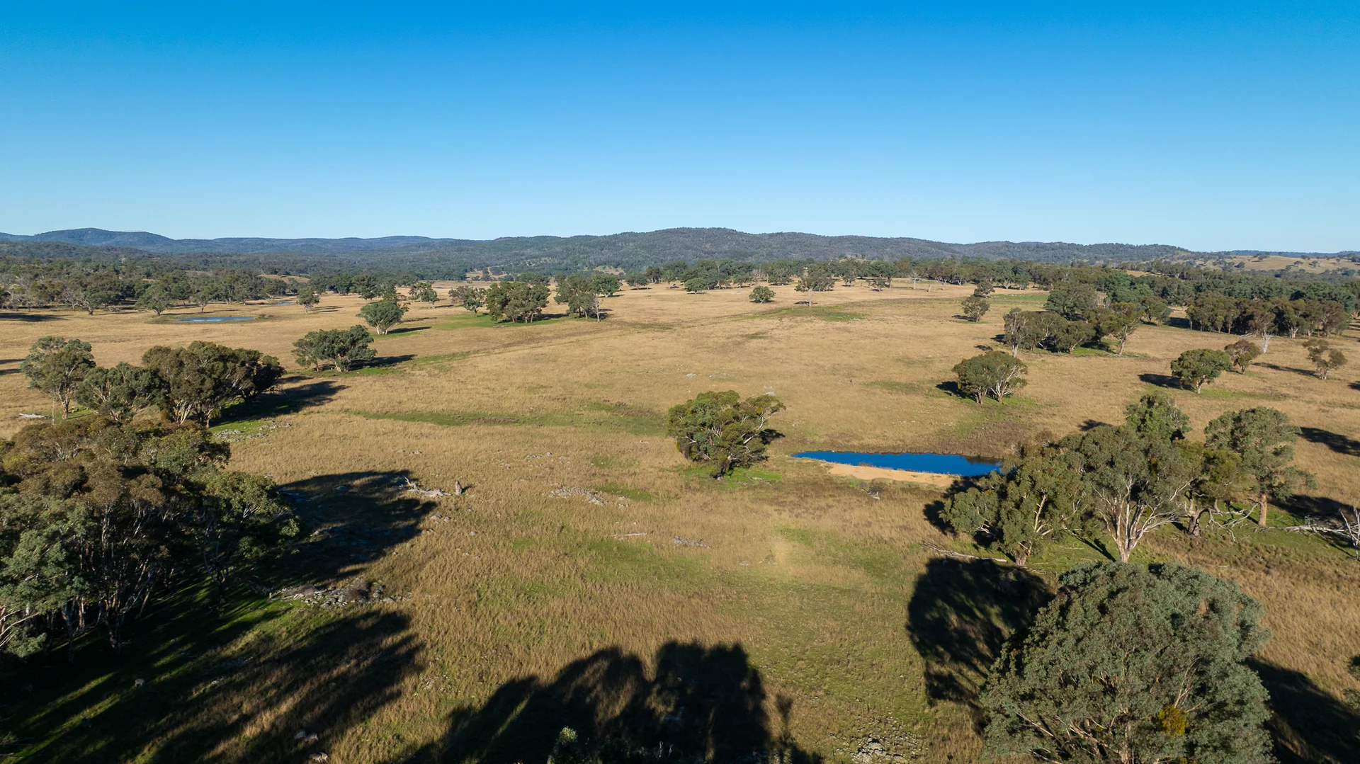 Additional image 14 of 3158 Baldersleigh Road, Guyra NSW 2365