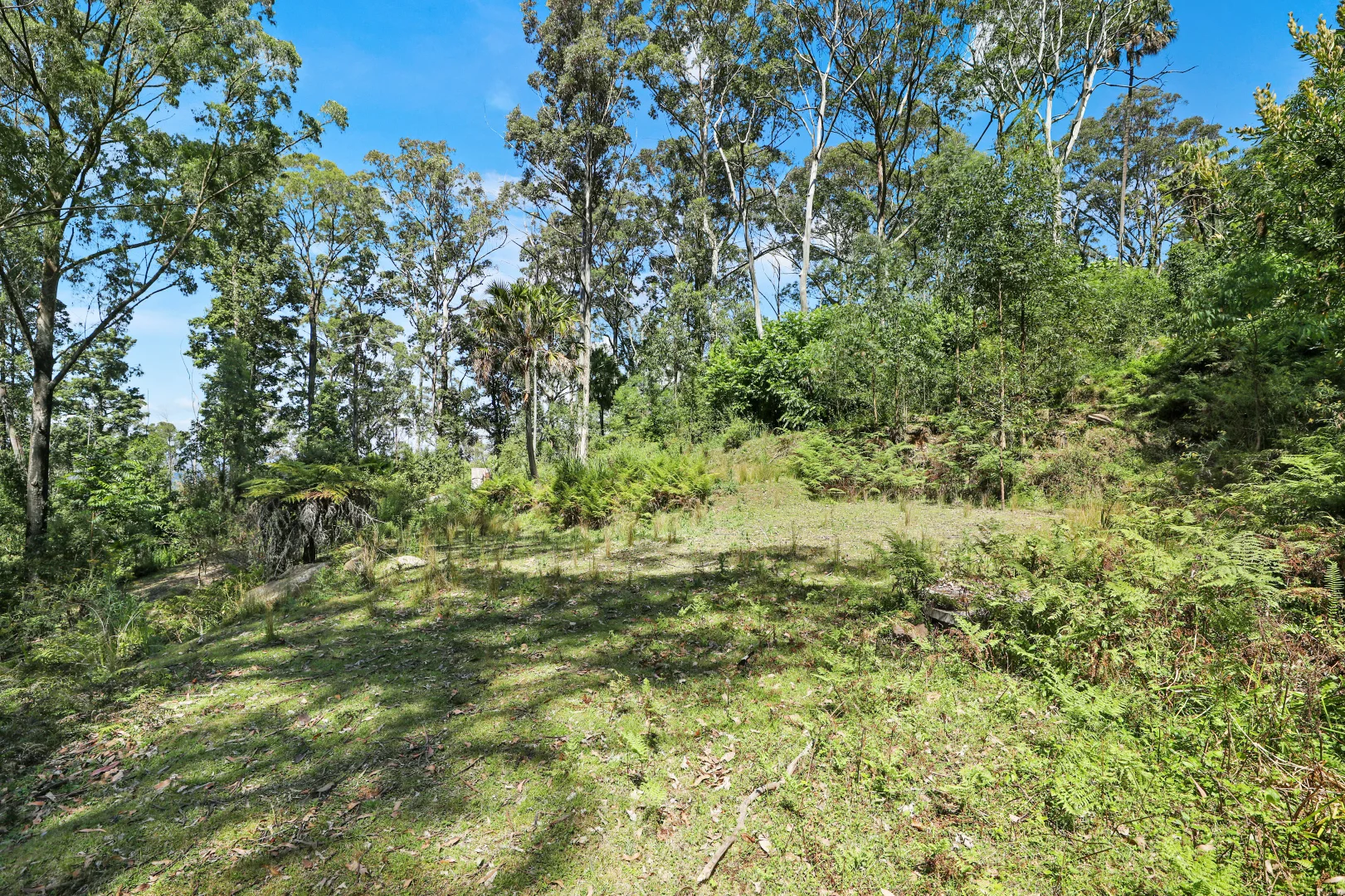 Additional image 5 of 826 Mount Scanzi Road, Kangaroo Valley NSW 2577