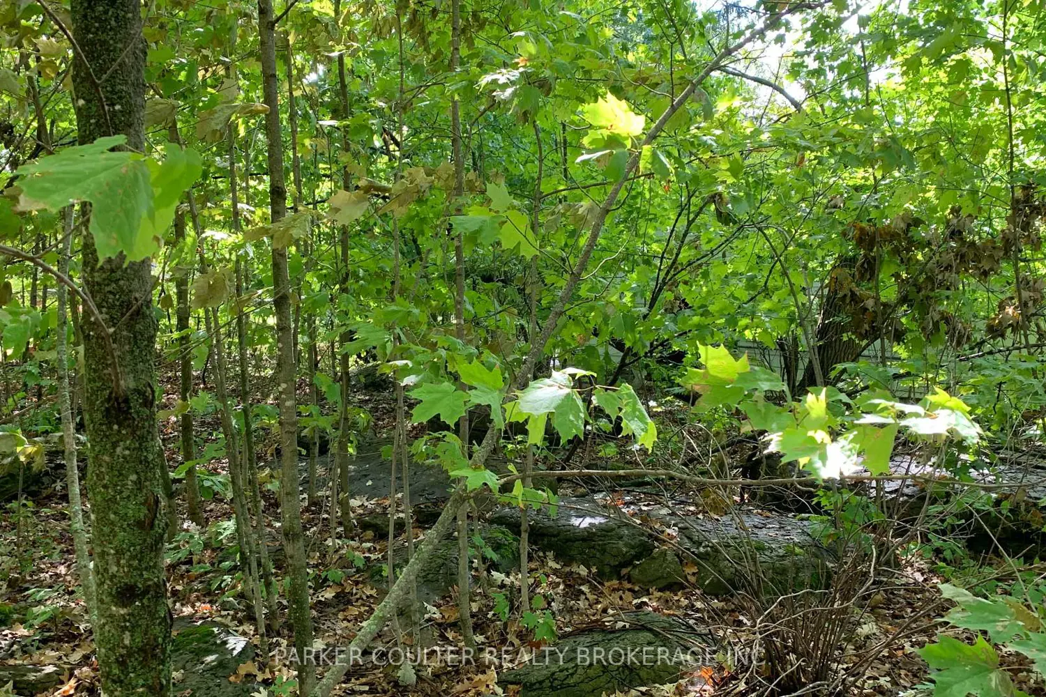 Additional image 7 of 6569 Rama Road