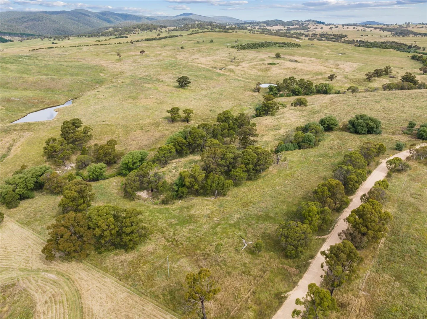 Additional image 9 of 4436 Jerangle Road, Captains Flat NSW 2623