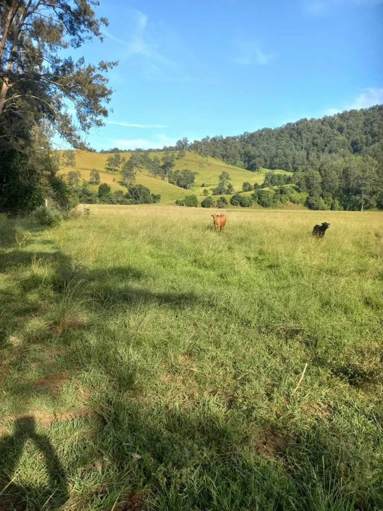 Additional image 2 of Comara NSW 2440