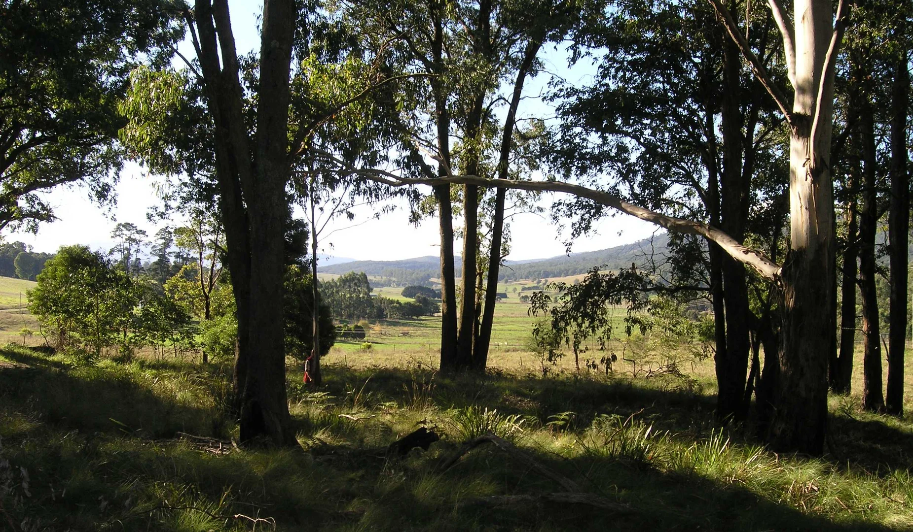 Additional image 5 of 9051 Bonang Road, Bonang VIC 3888