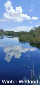 Additional image 10 of West Coolup WA 6214