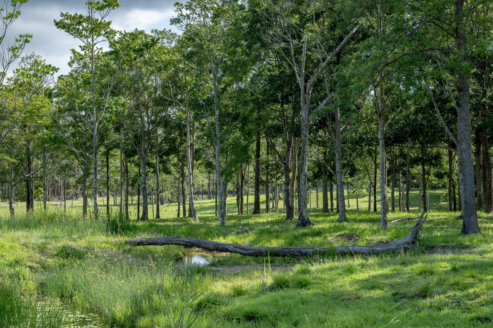 Additional image 23 of 239 Parsons Road, Coondoo QLD 4570