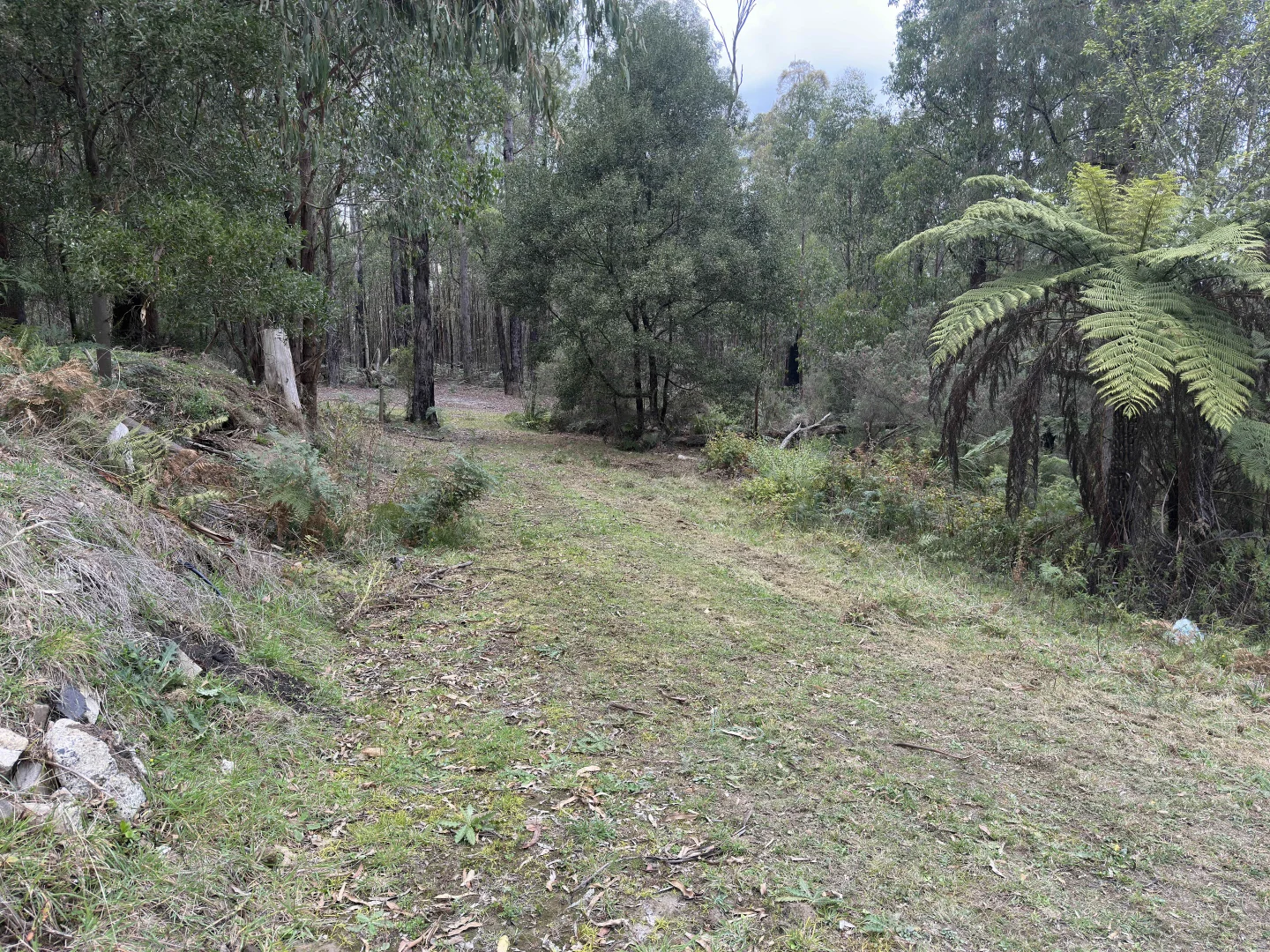 Additional image 12 of 299 National Park Road, Kinglake West VIC 3757