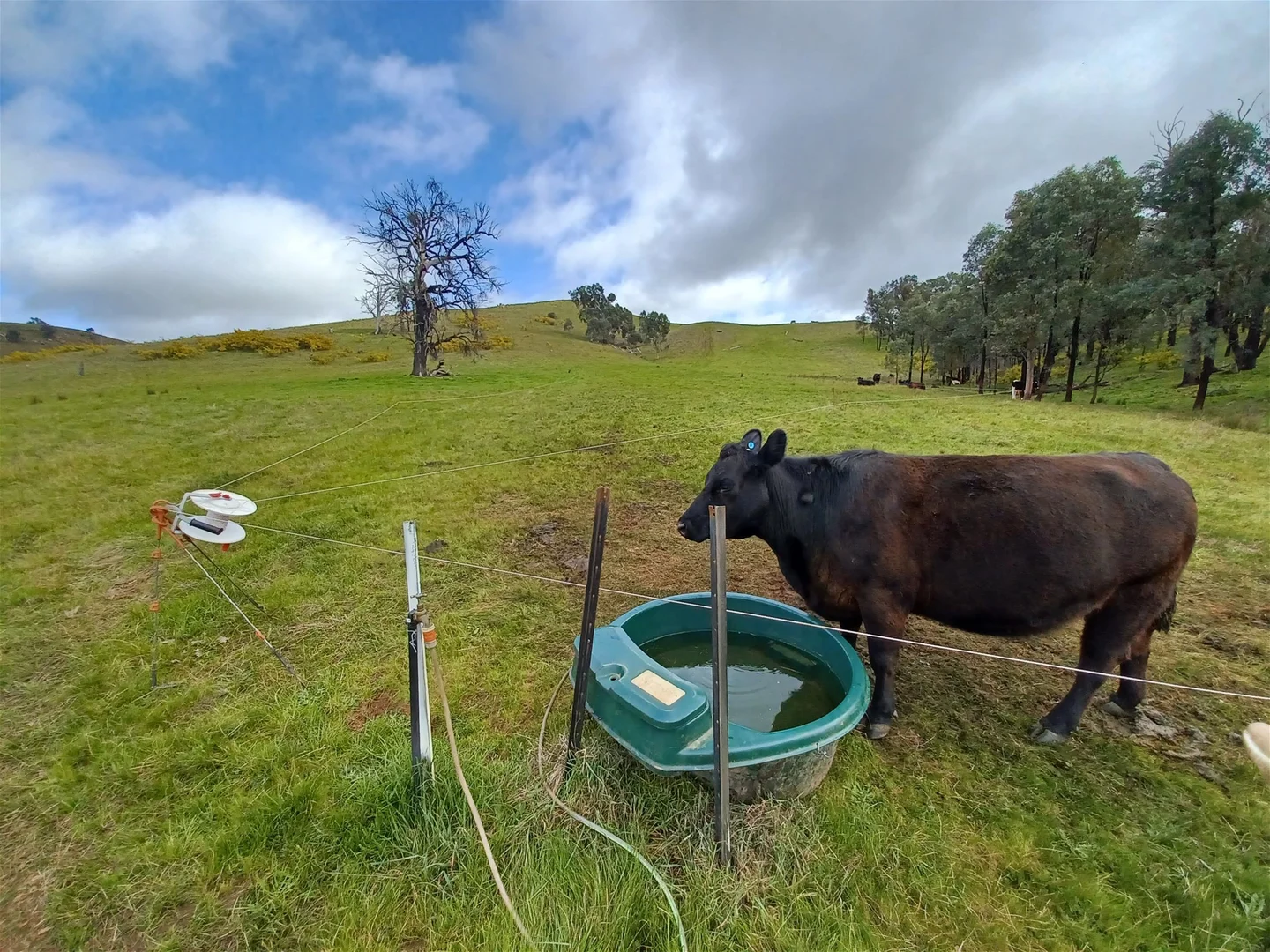 Additional image 17 of 3924 Hume Highway, Tarcutta NSW 2652