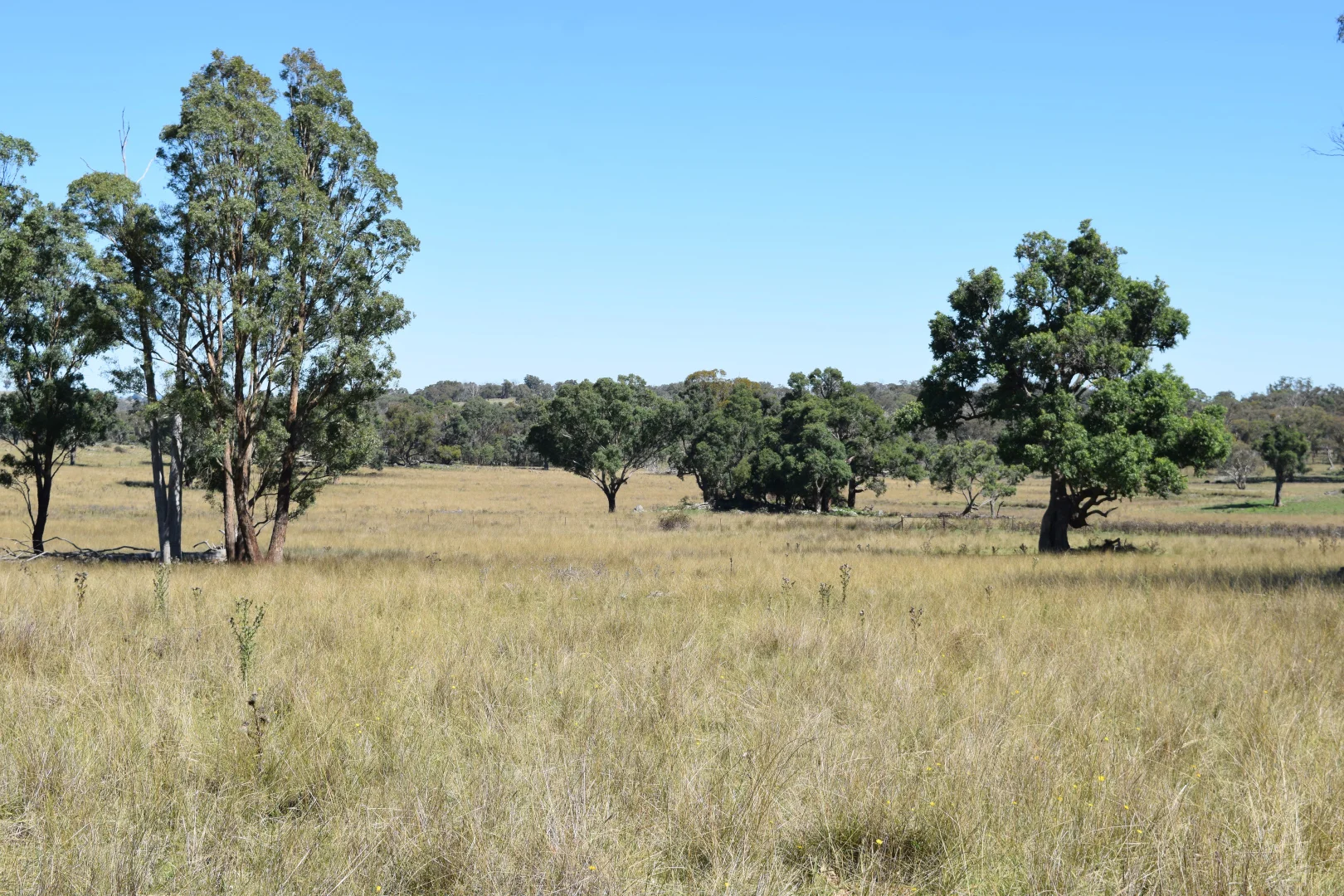 Additional image 20 of 3158 Baldersleigh Road, Guyra NSW 2365