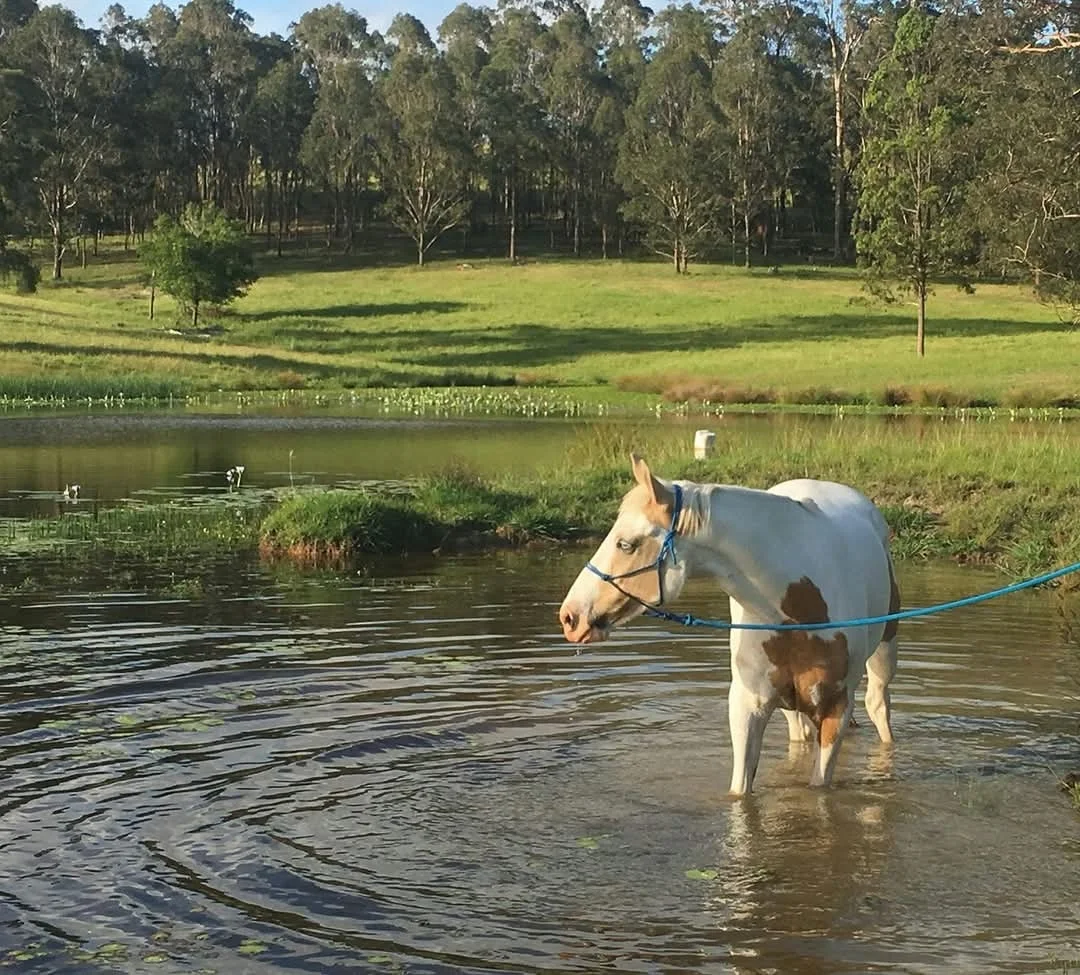 148 Mimi Creek Road, Firefly NSW 2429