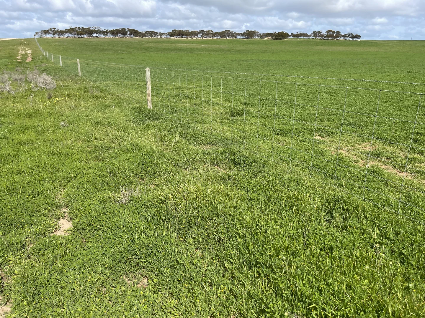 Additional image 17 of Lot/41 Skinner Road, Warramboo SA 5650