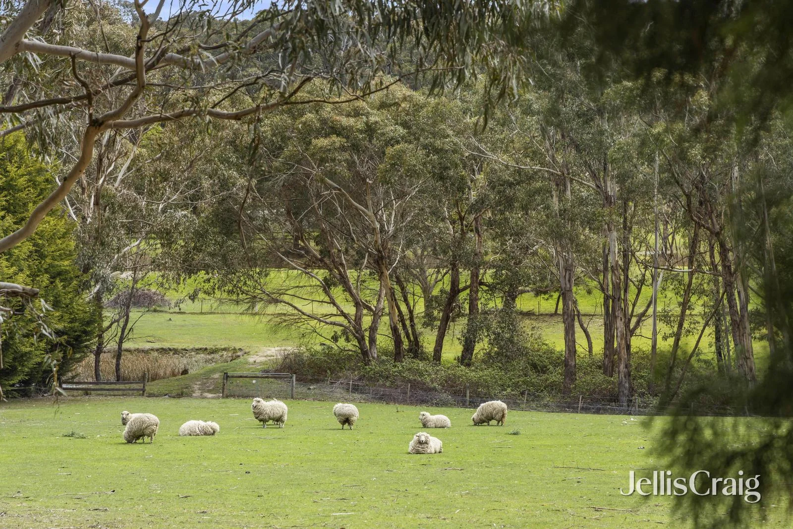 Additional image 9 of 145 Spencer Road, Woodend VIC 3442