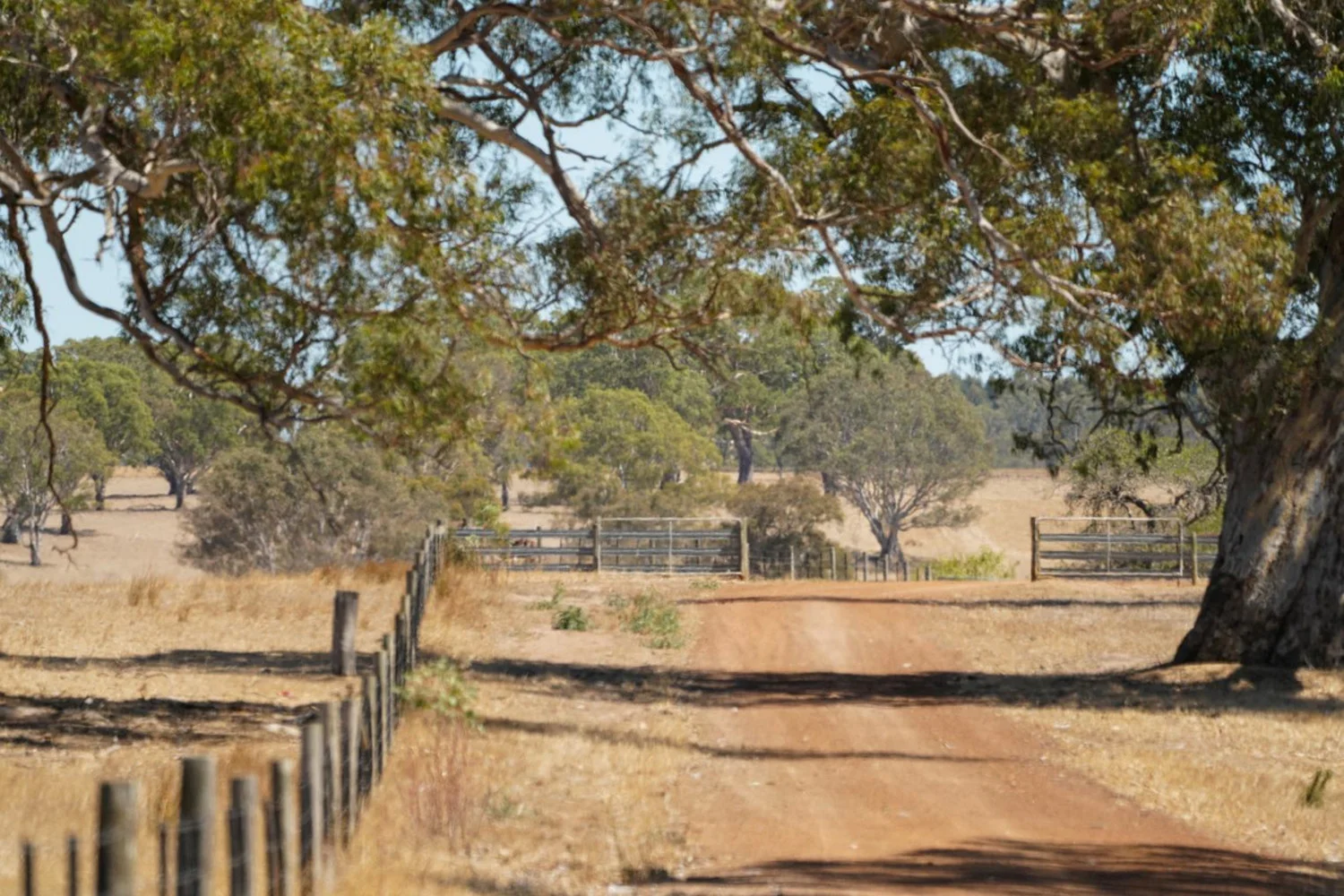 Additional image 30 of 3593 Nareen Road, Culla VIC 3315