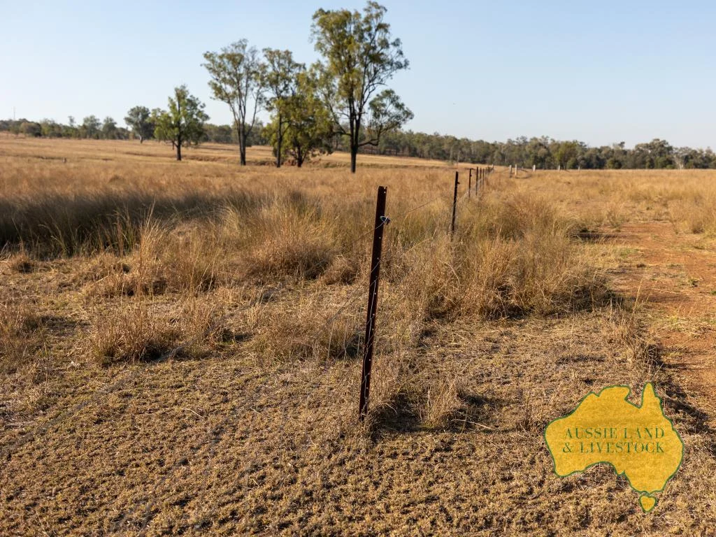 Additional image 24 of 110 BENHAMS ROAD, Mundubbera QLD 4626