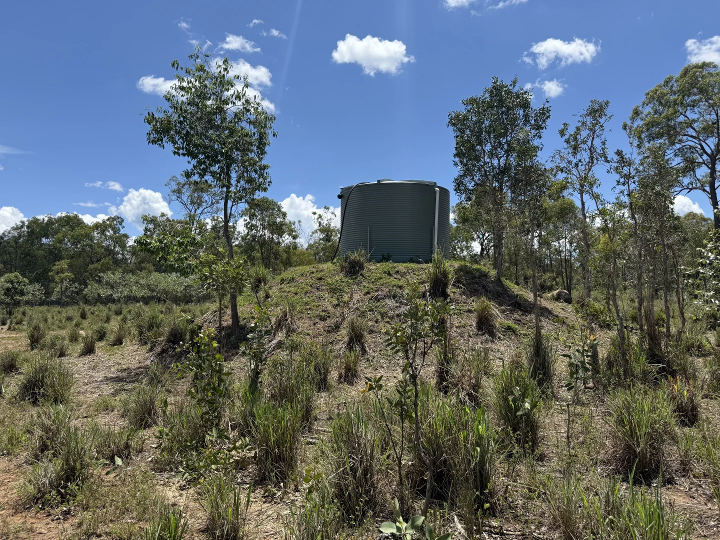 Additional image 20 of "Granite Springs" 22779 Kennedy Highway, Mount Garnet QLD 4872