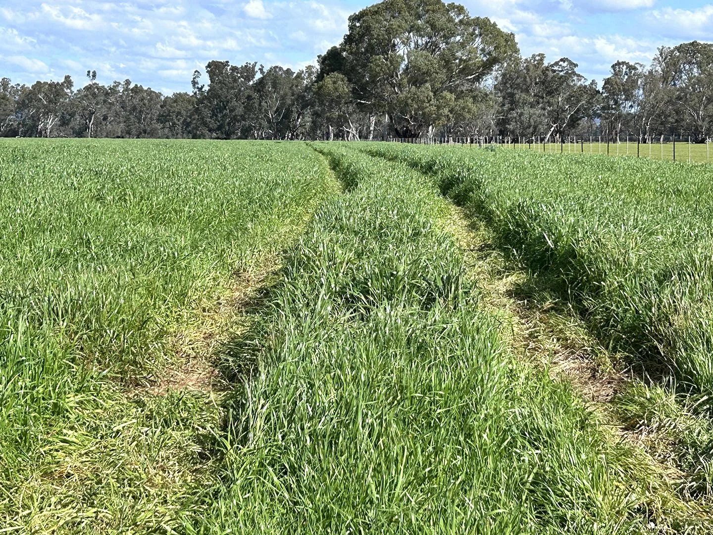 Additional image 9 of 1241 Drysdale Road, Pranjip VIC 3666