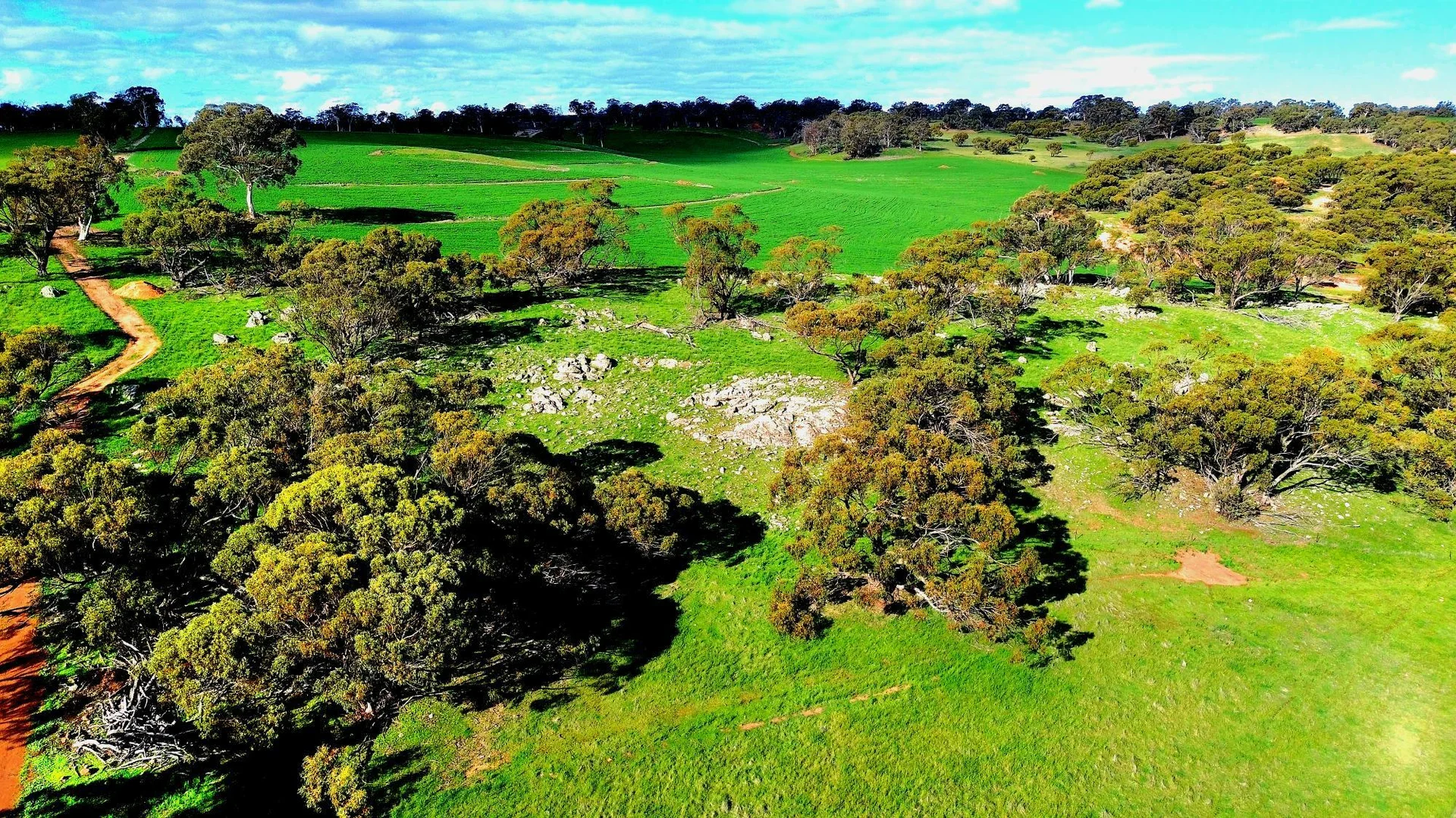 Additional image 2 of 142 Dumbarton Rd, Dumbarton WA 6566