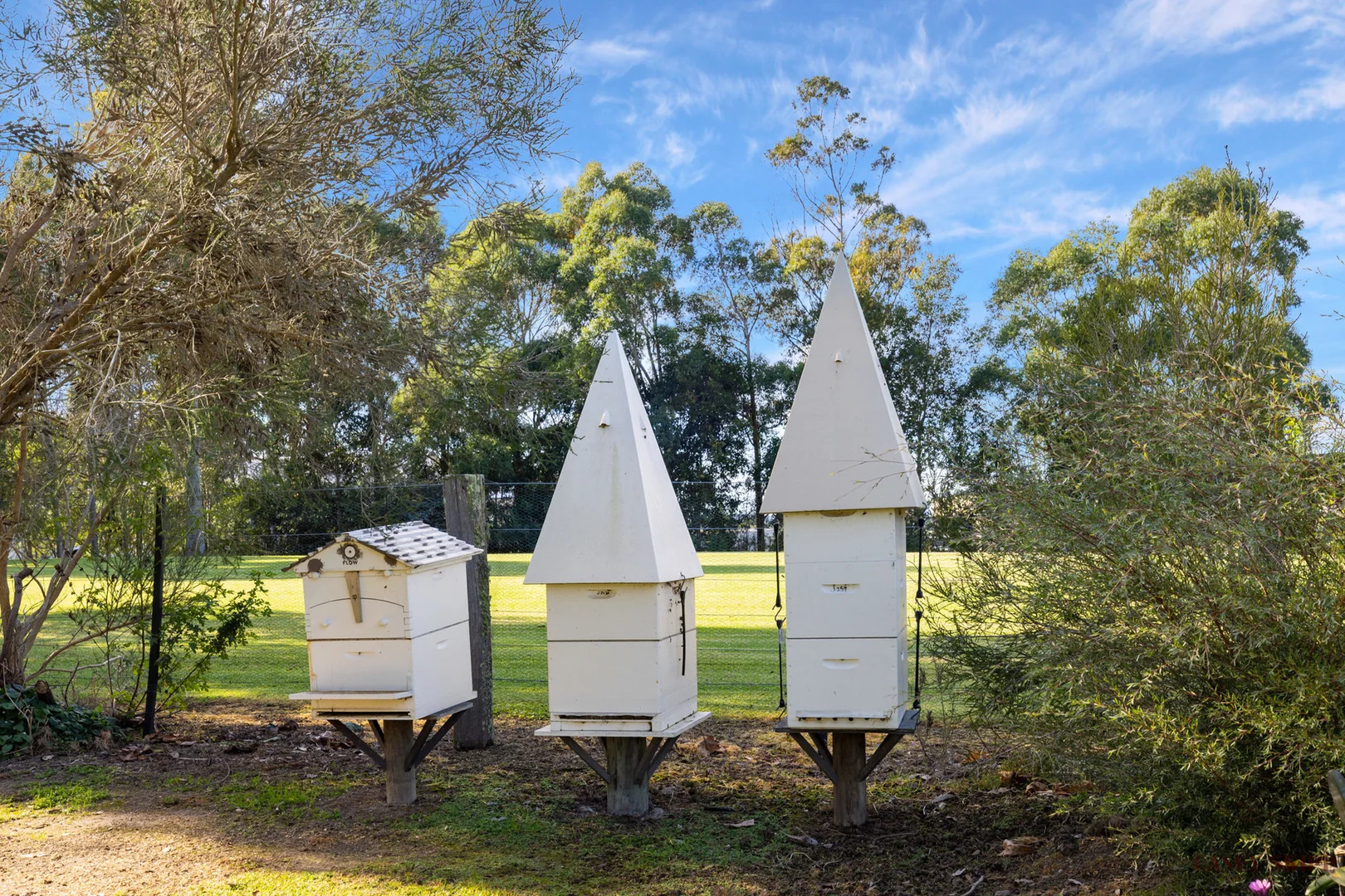 Additional image 14 of 9 Punt Road, Johnsonville VIC 3902