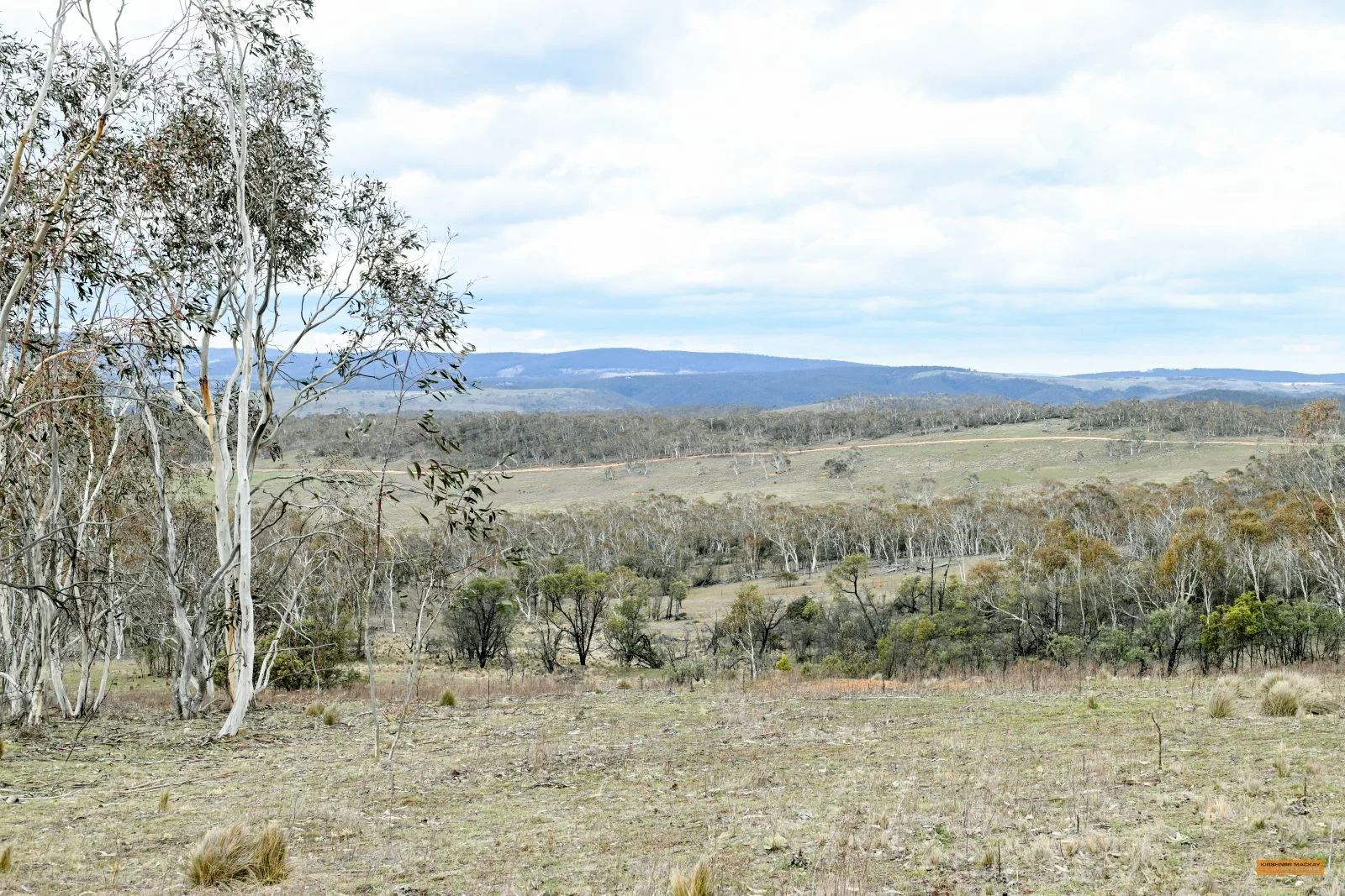 Additional image 21 of "Eagle Heights" 636 Caddigat Road, Dry Plain NSW 2630