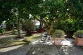 Additional image 35 of 35037 Begonia St, Union City, CA, 94587