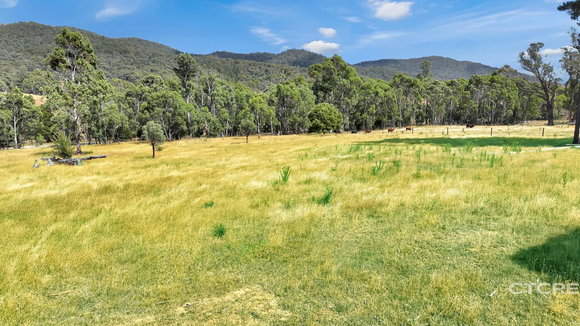 Additional image 5 of 3022 Benambra - Corryong Road, Benambra VIC 3900