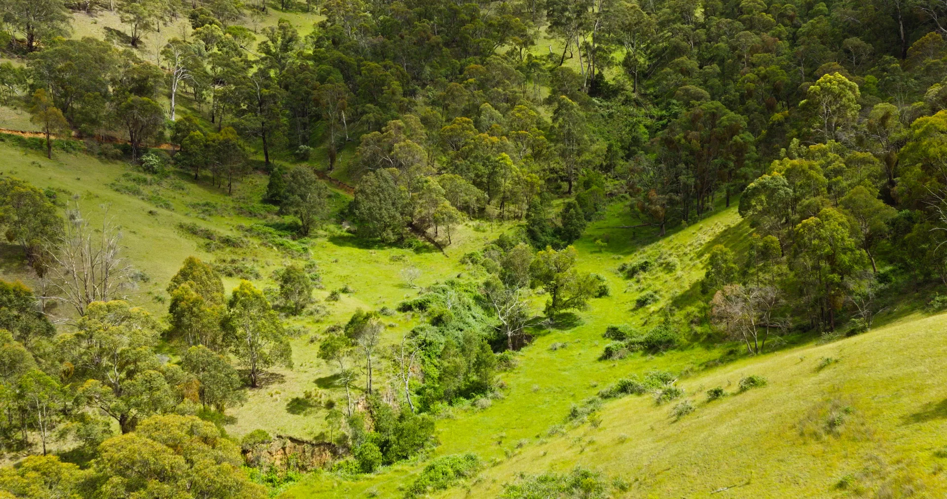 Additional image 7 of Lot 3 - 289 Tongio Gap Road, Tongio VIC 3896