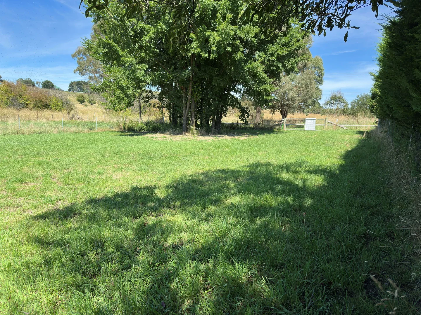 Additional image 8 of 11 Martyn Street, Taralga NSW 2580