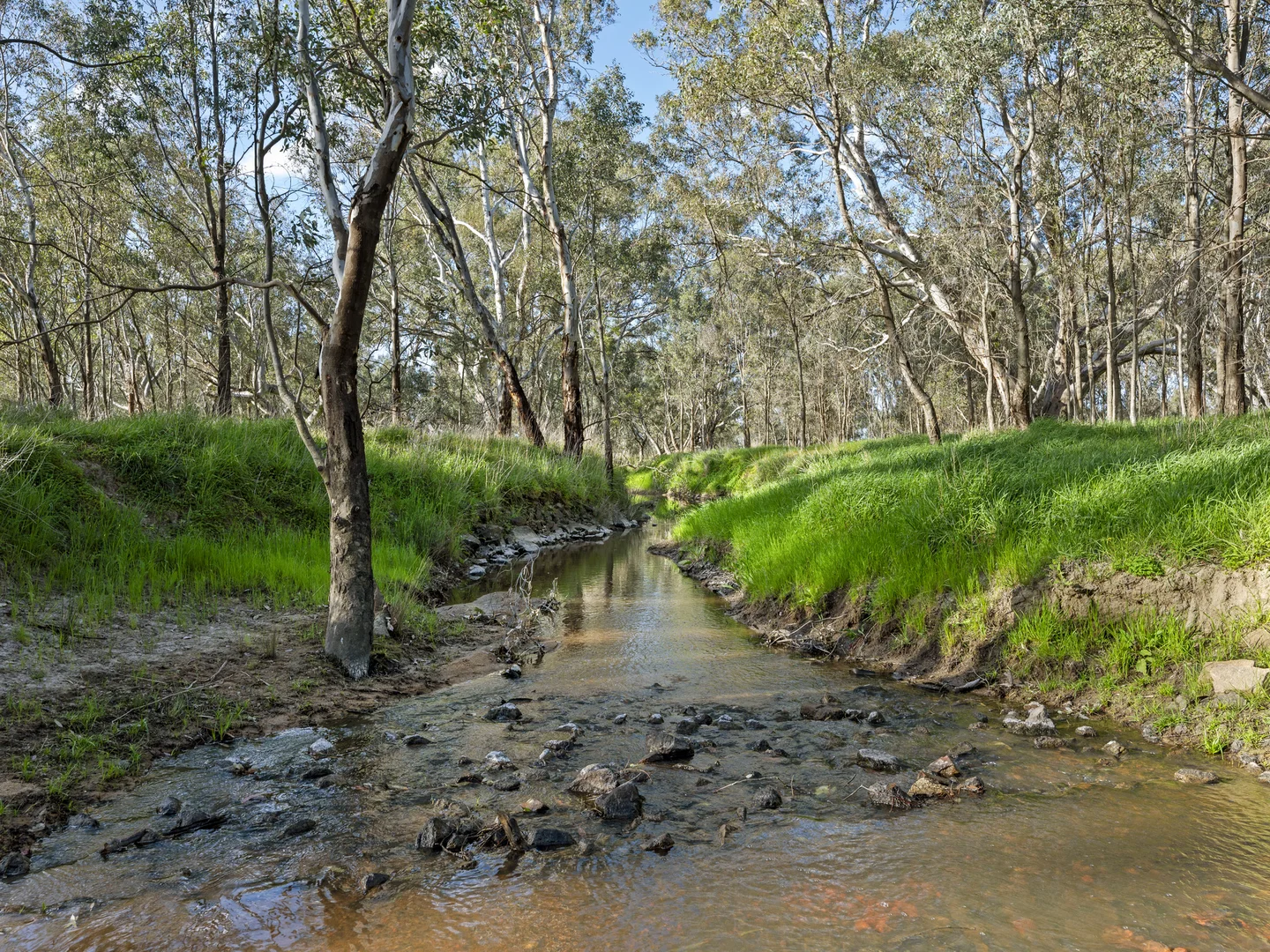 Additional image 13 of 290 Riggs Creek Road, Balmattum via, Euroa VIC 3666
