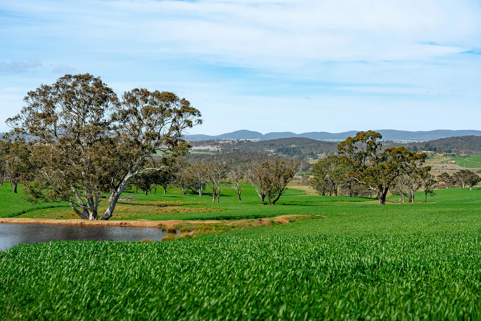 Additional image 5 of 276 Currawang Road, Goulburn NSW 2580